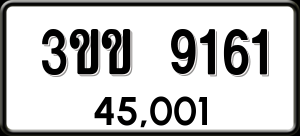 ทะเบียนรถ 3ขข 9161 ผลรวม 24